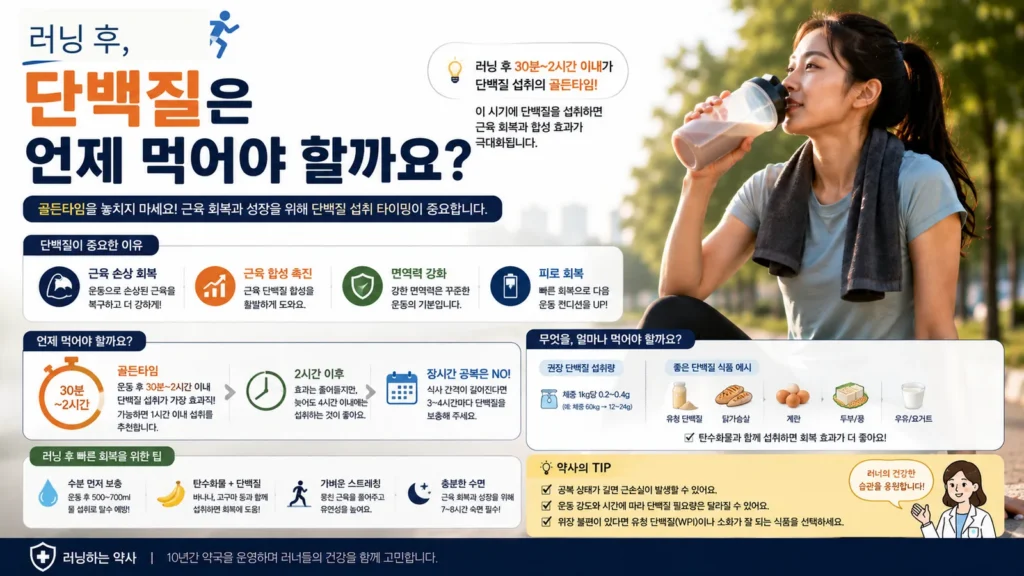 러닝 후 단백질 음료를 마시는 여성 러너와 단백질 섭취 시간, 권장량, 회복을 돕는 식품을 설명하는 이미지